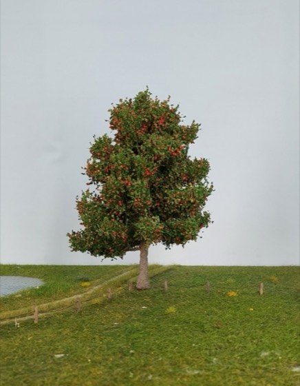 Appelboom